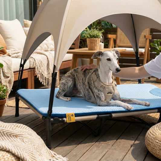 LISTINGOPT::kovosis::breathable-cooling-elevated-dog-bed-with-cooling-mat::02-inuse