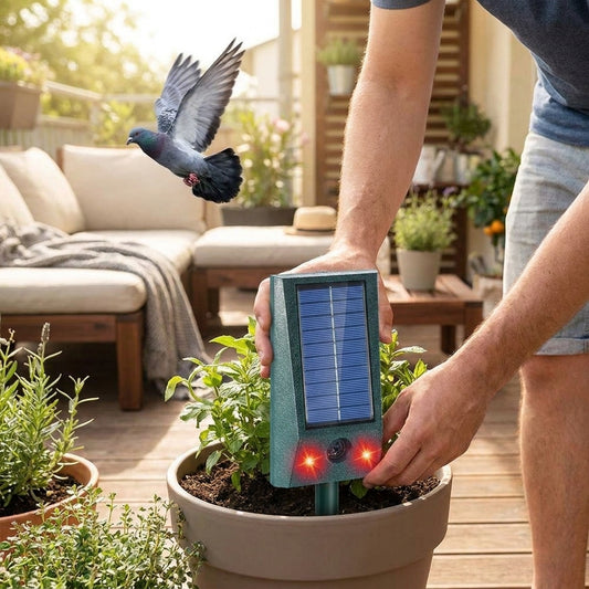 LISTINGOPT::kovosis::sonicguard-solar-ultrasonic-motion-detect-bird-repellent::02-inuse