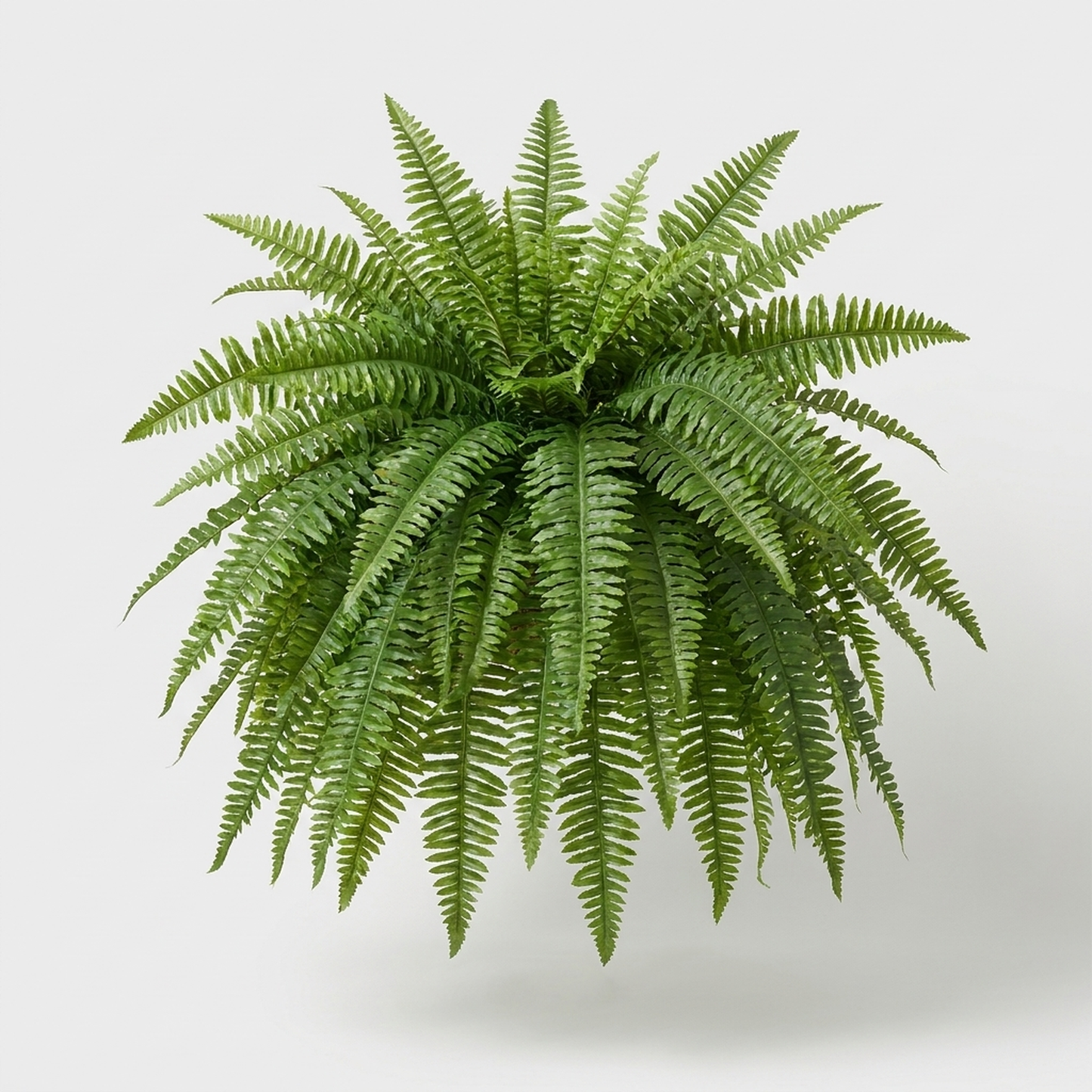 LISTINGOPT::kovosis::uv-resistant-outdoor-greenery-year-round-color::04-closeup