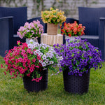 Artificial Flowers For Allergy-Free Color