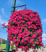 Artificial Climbing Vine For Instant Garden Charm
