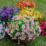 Artificial Flowers For Allergy-Free Color