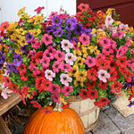 Artificial Flowers For Allergy-Free Color