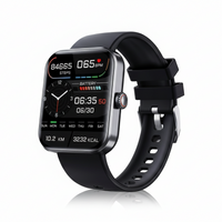 Glucowatch Blood Glucose Meter