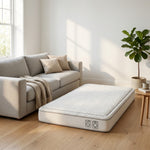 LISTINGOPT::kovosis::1pc-flannel-practical-sofa-cushion-high-end-simple-and-fashionable-plush-cushion-all-season-universal-sofa-cushion::03-lifestyle
