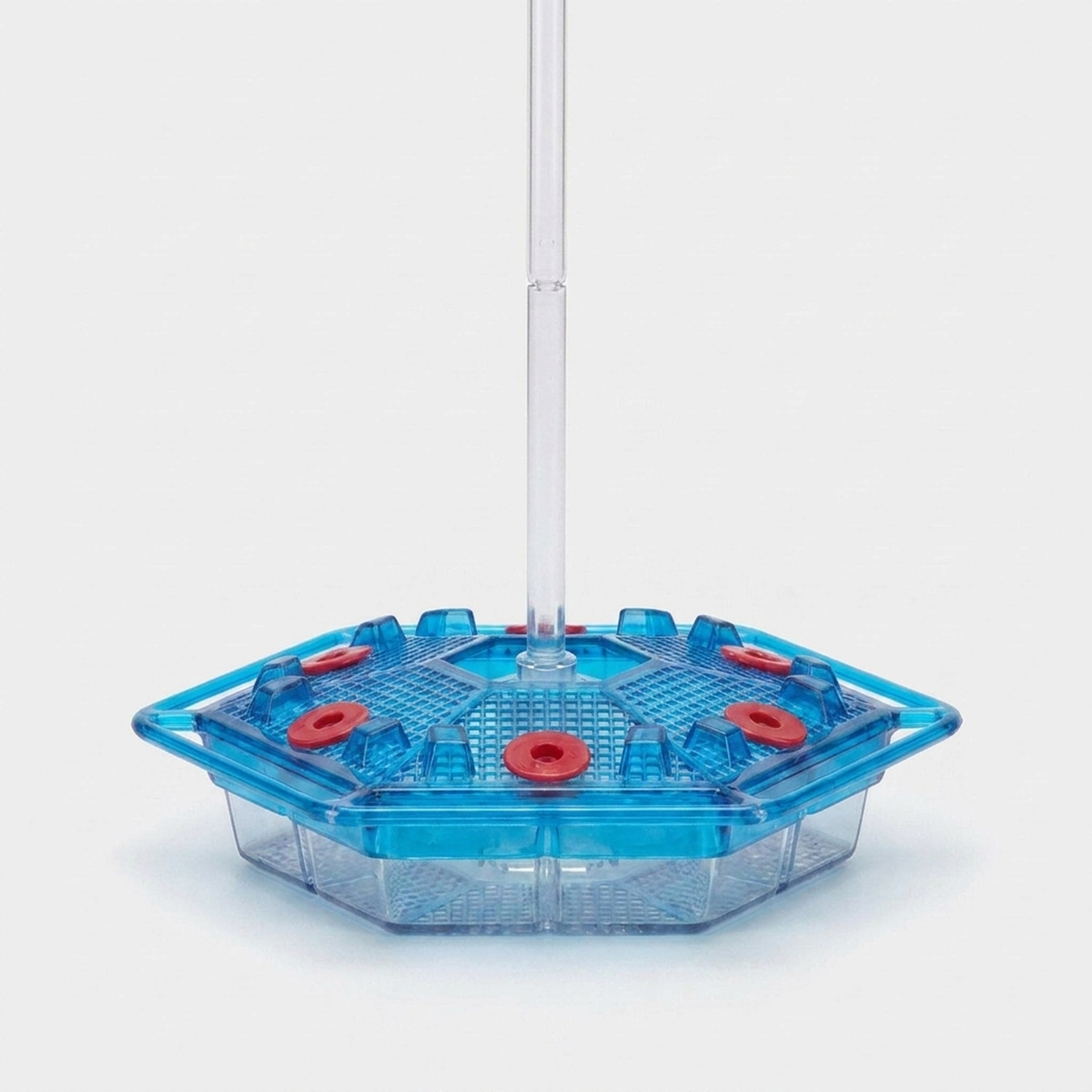 LISTINGOPT::kovosis::ant-proof-hummingbird-feeder-attracts-more-birds::color-blue