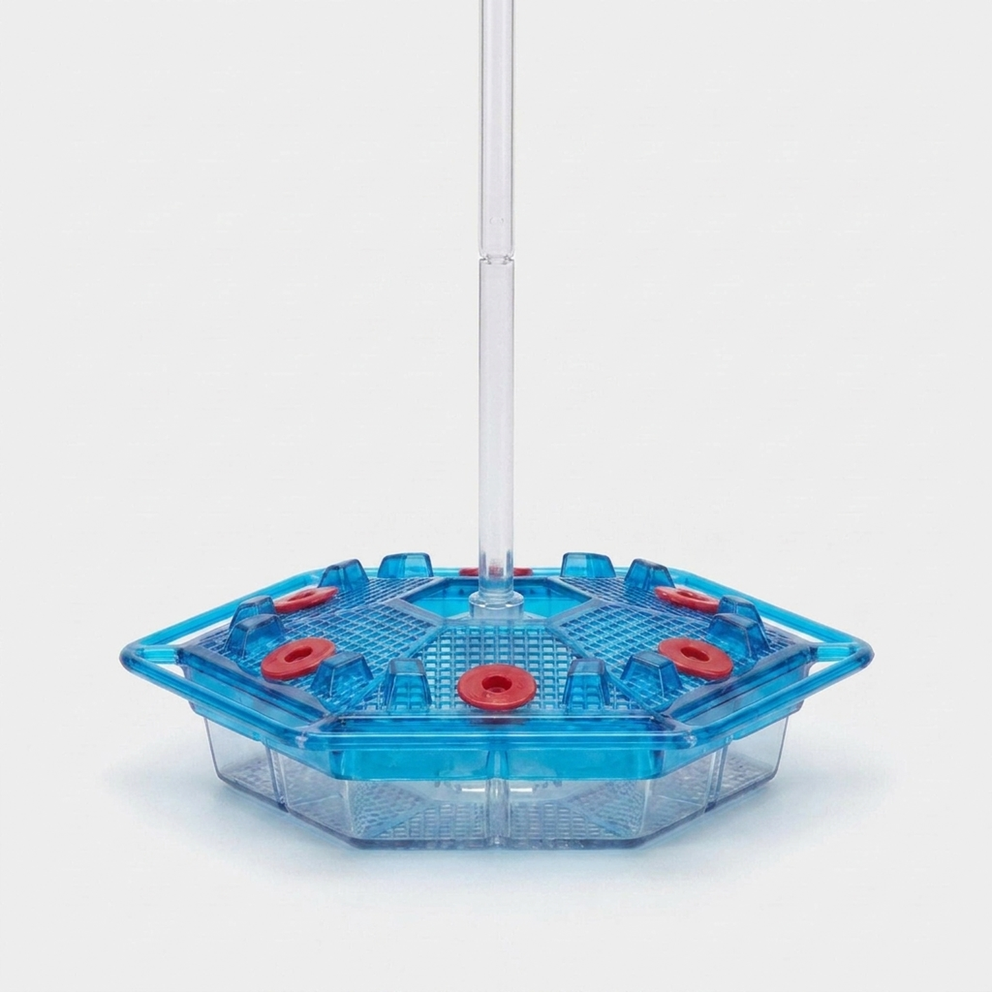 LISTINGOPT::kovosis::ant-proof-hummingbird-feeder-attracts-more-birds::color-blue