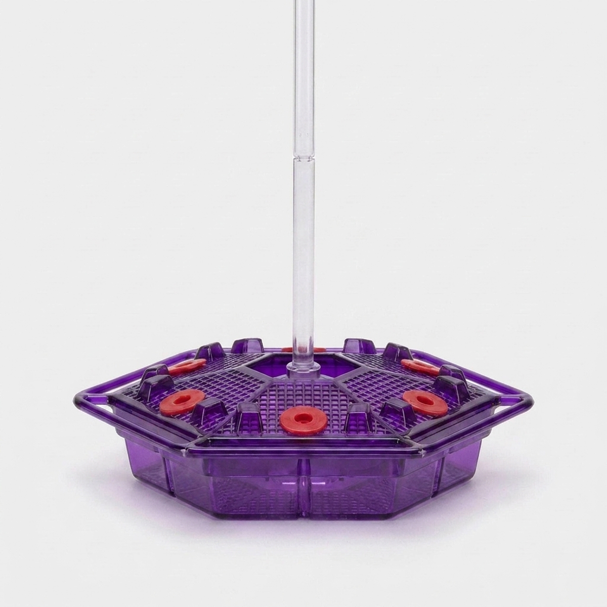 LISTINGOPT::kovosis::ant-proof-hummingbird-feeder-attracts-more-birds::color-purple