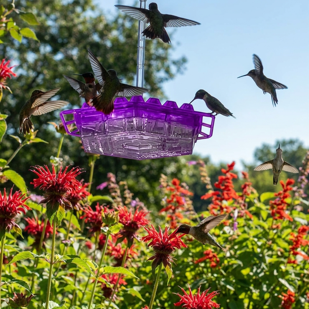 LISTINGOPT::kovosis::ant-proof-hummingbird-feeder-attracts-more-birds::variant-unique-3488fde611b2c7