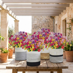 LISTINGOPT::kovosis::artificial-flowers-for-allergy-free-color::variant-unique-7c959ea46fda0b