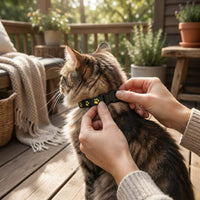 LISTINGOPT::kovosis::cat-gps-tracker-echtzeit-ortung-ohne-abo::02-inuse