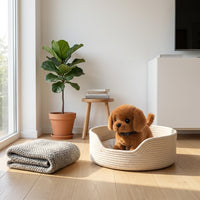 LISTINGOPT::kovosis::dog-toy-interactive-puppy-plush-walking-barking-pet::03-lifestyle