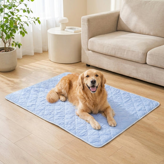 LISTINGOPT::kovosis::double-sided-cooling-dog-blanket-chill-nest-1::01-hero