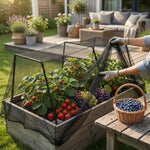 LISTINGOPT::kovosis::farmguard-protective-netting-for-orchards-birds-deer::02-inuse