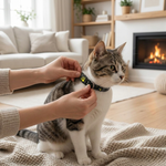 LISTINGOPT::kovosis::gps-cat-tracker-collar-for-real-time-safety::02-inuse