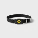 LISTINGOPT::kovosis::gps-cat-tracker-collar-for-real-time-safety::04-closeup