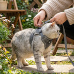 LISTINGOPT::kovosis::harnais-chat-en-y::02-inuse