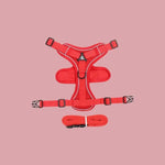 LISTINGOPT::kovosis::harnais-chat-en-y::color-rouge