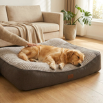 LISTINGOPT::kovosis::large-orthopedic-dog-bed-for-spinal-support::02-inuse