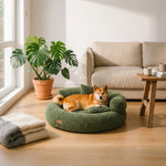 LISTINGOPT::kovosis::luxe-diamond-velvet-removable-orthopedic-donut-dog-bed-with-pillow-dreamnest-2::03-lifestyle