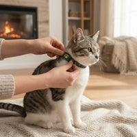 LISTINGOPT::kovosis::meowloc-gps-cat-tracker-collar-designed-for-real-time-location-monitoring-and-pet-safety::02-inuse