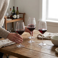 LISTINGOPT::kovosis::michley-246pcs-unbreakable-tritan-plastic-wine-glass-picnic-set-reusable-luxury-for-party-barware-outdoor-dishwasher::02-inuse