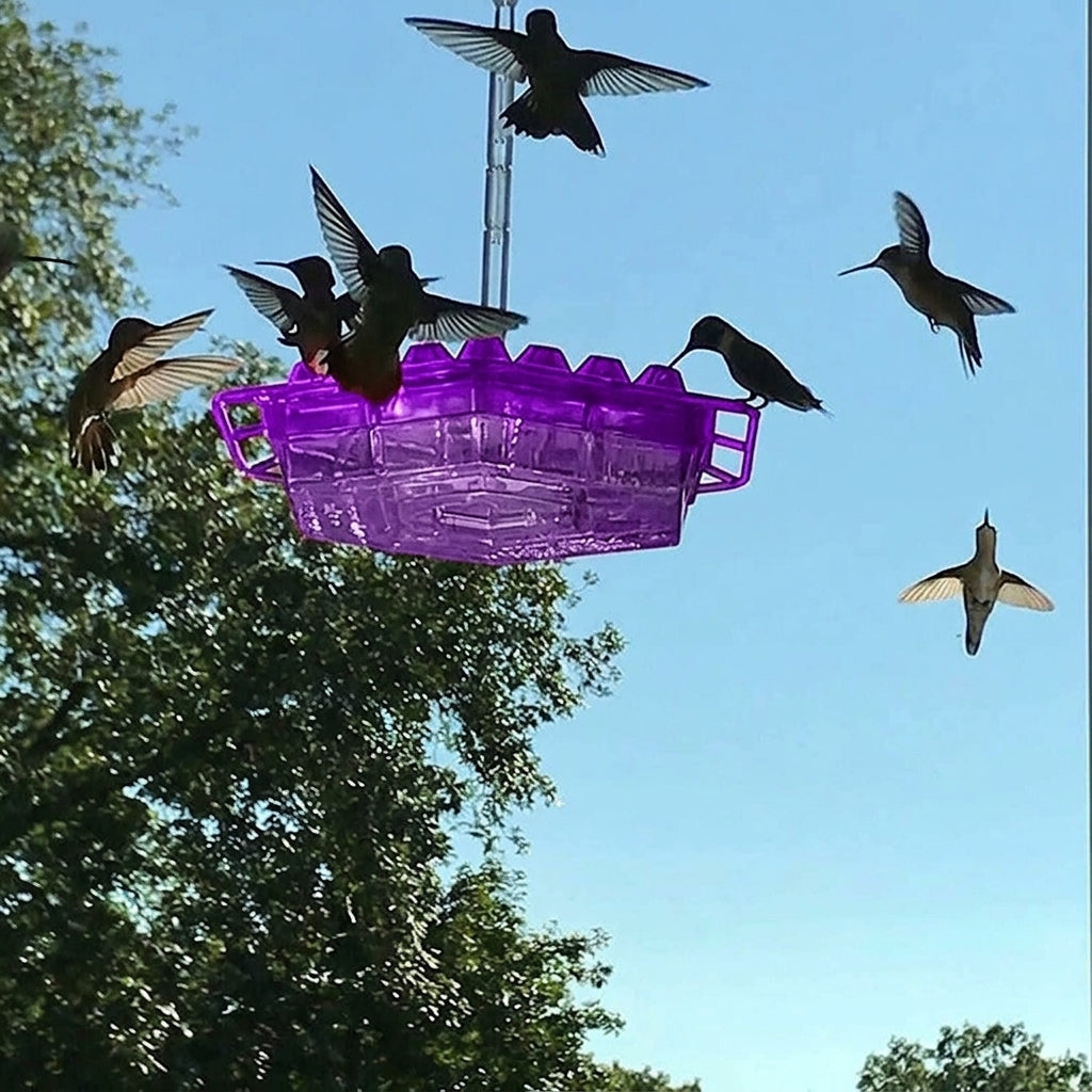LISTINGOPT::kovosis::nectarhaven-ant-proof-hummingbird-feeder-with-30-easy-access-ports::color-purple