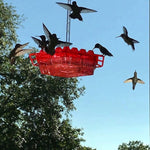 LISTINGOPT::kovosis::nectarhaven-ant-proof-hummingbird-feeder-with-30-easy-access-ports::color-red