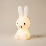 LISTINGOPT::kovosis::ocs-miffy-vloerlamp-kinderen::04-closeup