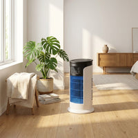 LISTINGOPT::kovosis::portable-air-conditioner-portable-6-speed-evaporative-air-cooling-fan-fan-blower::03-lifestyle