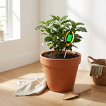 LISTINGOPT::kovosis::soilmaster-4-in-1-professional-soil-moisture-meter::03-lifestyle