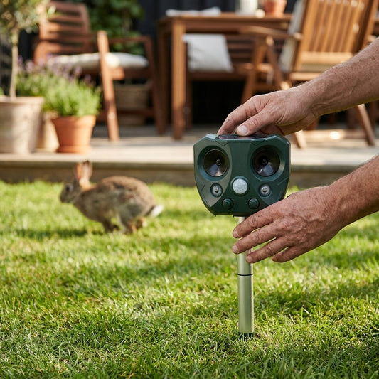 LISTINGOPT::kovosis::ultrasonic-bird-repeller-solar-powered::02-inuse