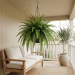 LISTINGOPT::kovosis::verdafern-uv-resistant-outdoor-greenery::01-hero