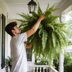 LISTINGOPT::kovosis::verdafern-uv-resistant-outdoor-greenery::04-closeup