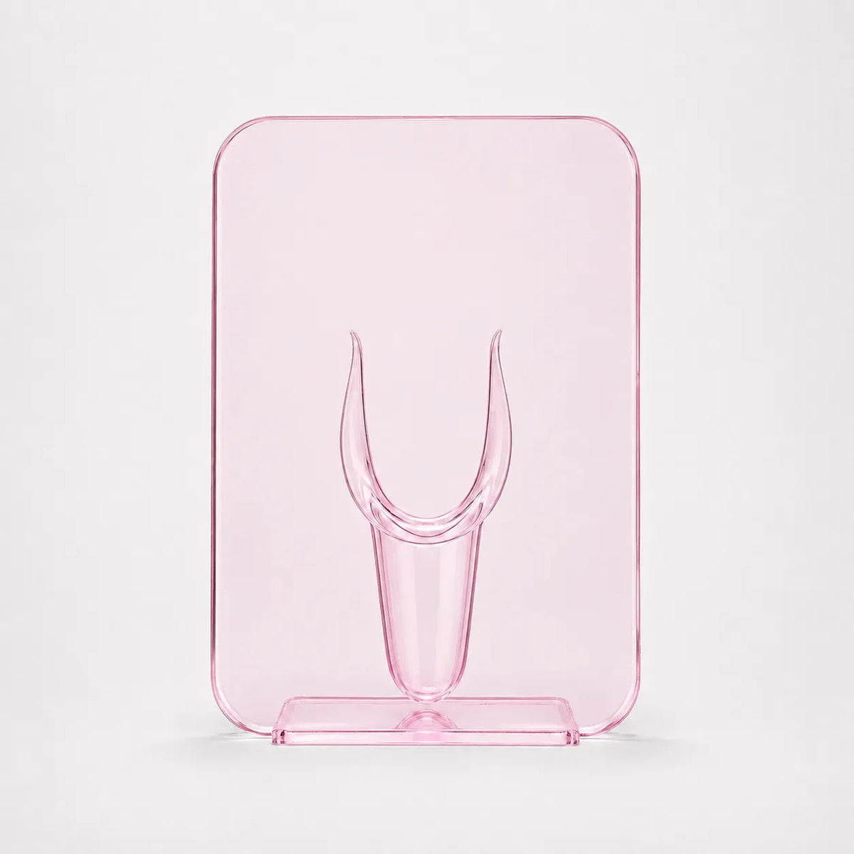 Acrylic Frame Vase For Artful Flowers