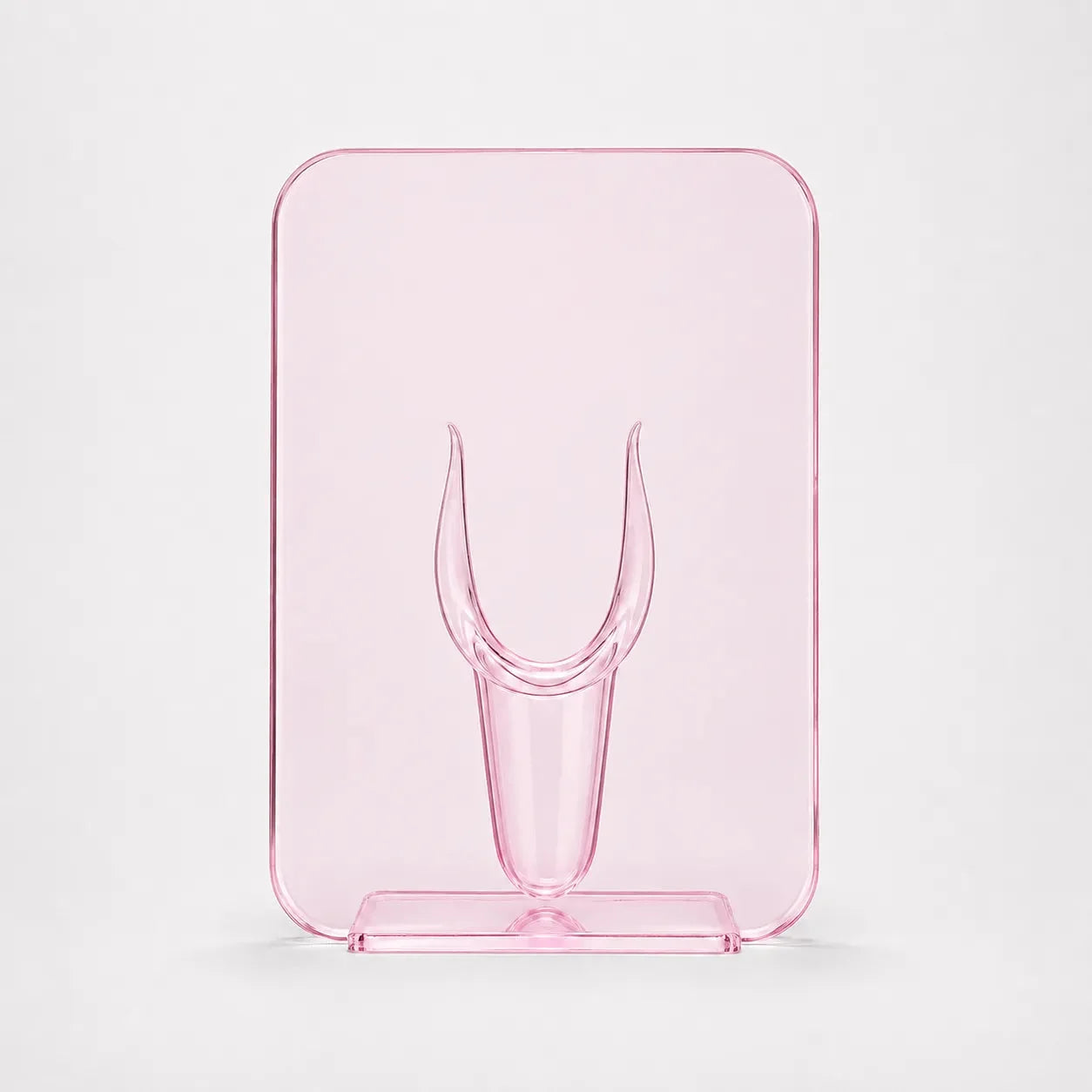 Acrylic Frame Vase For Artful Flowers