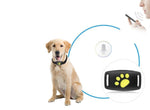 Cat GPS Tracker – Real-Time Tracking Without Fees
