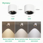 Adjustable LED Ceiling Spotlight for Focused Ambiance