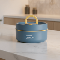 Double-Walled Insulated Lunch Box