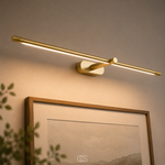 LED Light Wall Lamp in Black and Gold