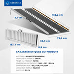 Portable Folding Access Ramp