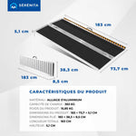 Portable Folding Access Ramp