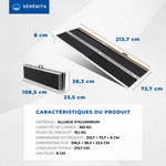 Portable Folding Access Ramp