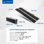 Portable Folding Access Ramp