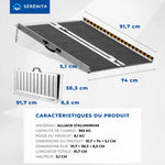 Portable Folding Access Ramp