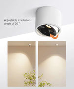 Adjustable LED Ceiling Spotlight for Focused Ambiance