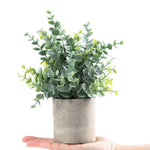 Artificial Plant Duo for Effortless Greenery