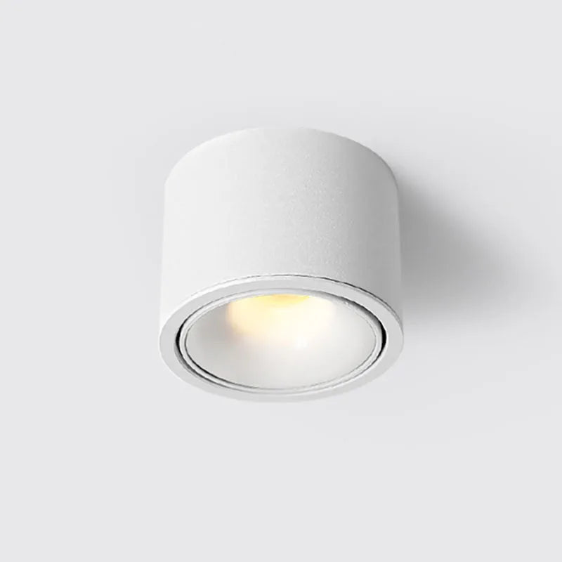 Adjustable LED Ceiling Spotlight for Focused Ambiance