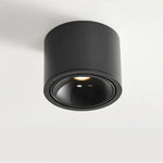 Adjustable LED Ceiling Spotlight for Focused Ambiance