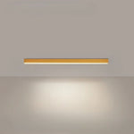 STYLELIGHT LED Minimalist Ceiling Light | Scandinavian Modern Flush Mount Lamp